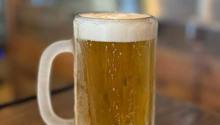 downtown-den-tavern-pizza-beloit-wisconsin-restaurant-bar-potosi-varsity